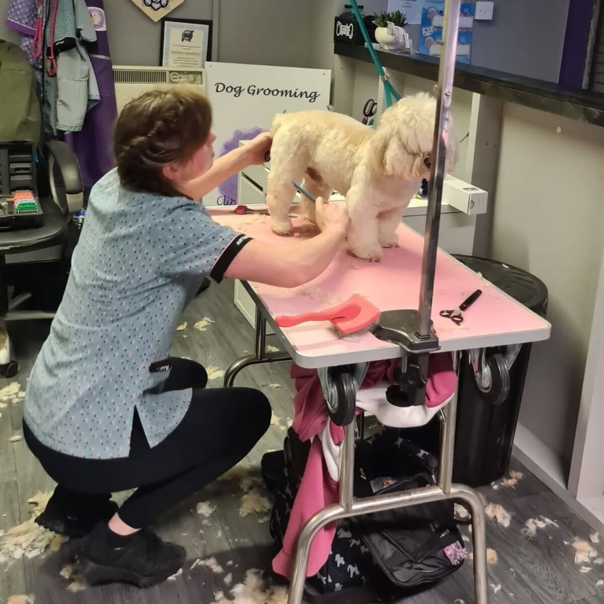 Marie at professional grooming training event