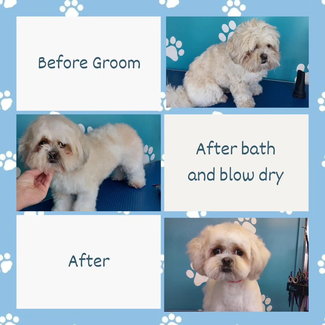 Three stages of grooming: before, bath, and after